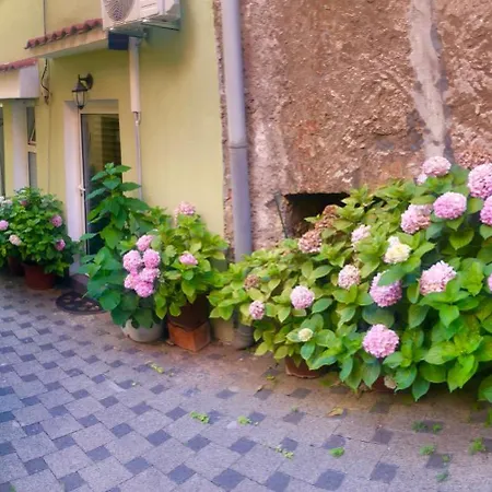 Apartment Ante Sun *