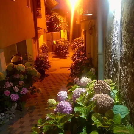 Apartment Ante Sun Sibenik